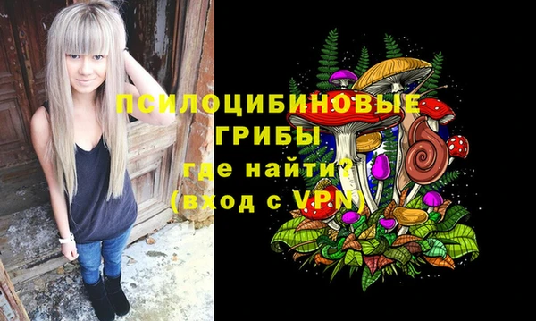стаф Алзамай
