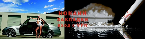 СК Алексин
