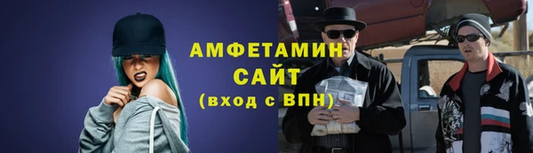 стаф Алзамай
