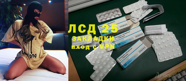 стаф Алзамай